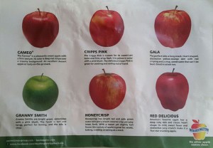 Different varieties of apples