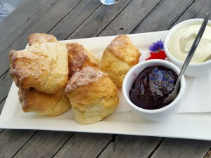 Scones from the cafe, Heronswood