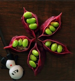 Wild Mushroom and Truffle Oil Dim Sum, The Fatty Bao, Mumbai