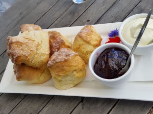 Scones with clotted cream and raspberry jam at Heronswood Garden Cafe, Melbourne