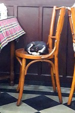 Cafe Irani Chaii, Mahim, Mumbai