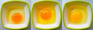 Comparison of Desi, Happy Hens and Industrial farmed eggs