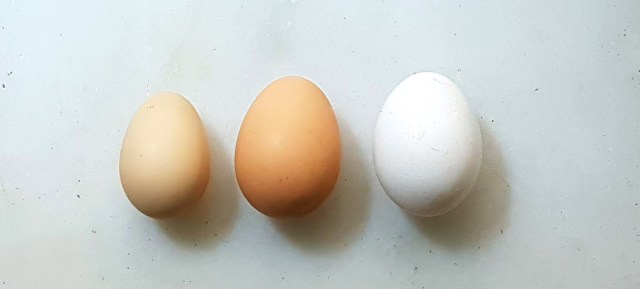 Desi, Happy Hen and Industrial farm eggs